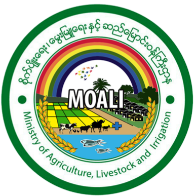 Moali Admin logo